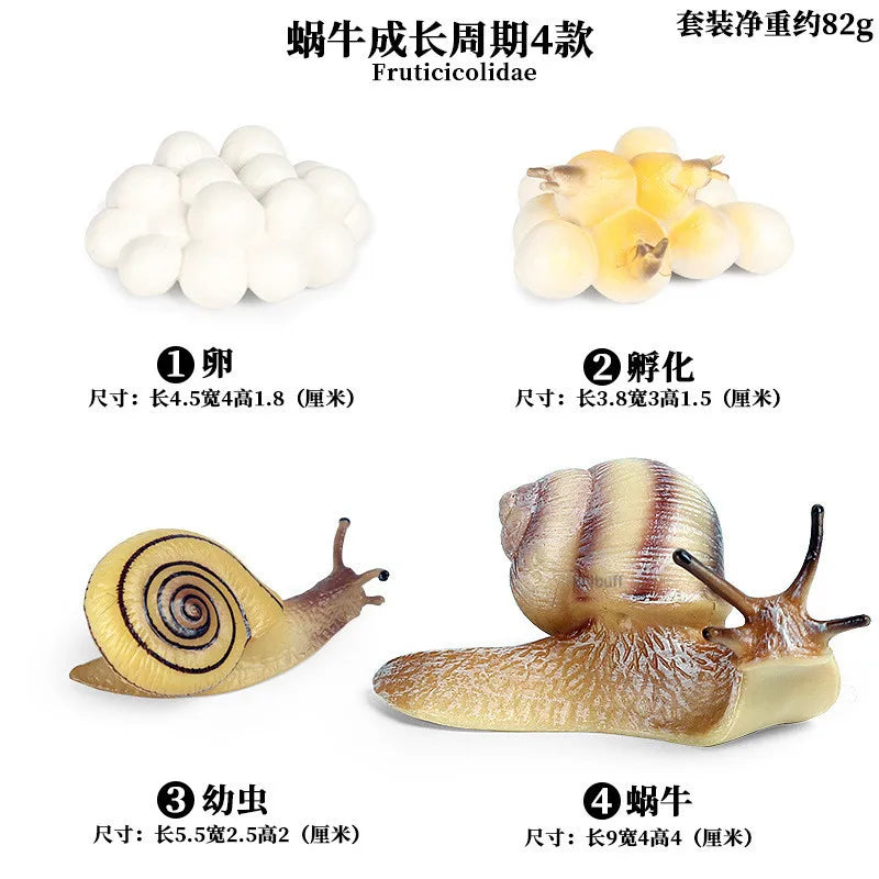 Simulation Animal Insect PVC ladybug Bee spider Model Action Figure Collection Miniature Cognition Educational Toys for Children