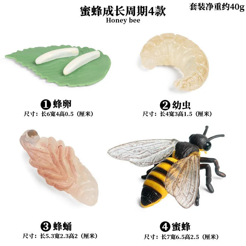 Simulation Animal Insect PVC ladybug Bee spider Model Action Figure Collection Miniature Cognition Educational Toys for Children