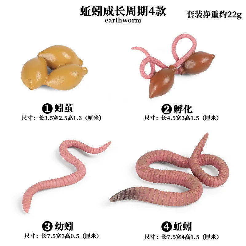 Simulation Animal Insect PVC ladybug Bee spider Model Action Figure Collection Miniature Cognition Educational Toys for Children