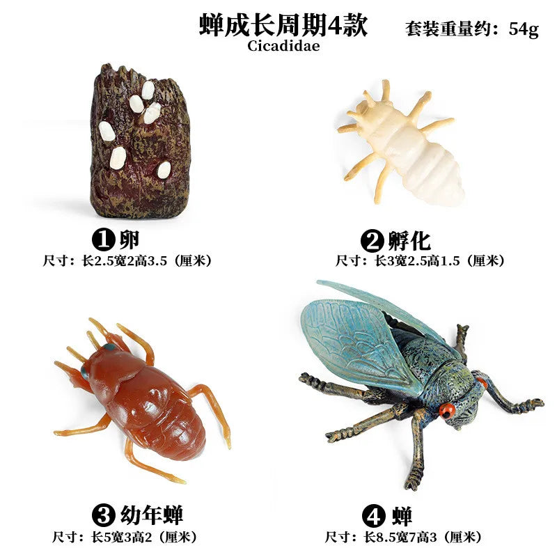 Simulation Animal Insect PVC ladybug Bee spider Model Action Figure Collection Miniature Cognition Educational Toys for Children