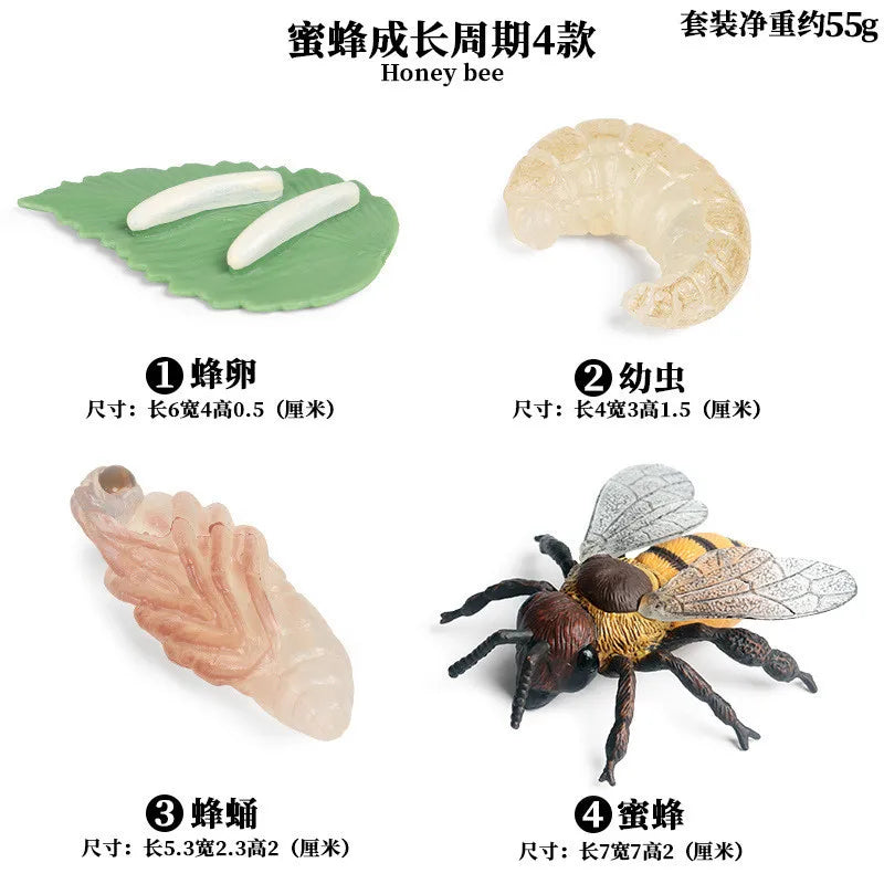 Simulation Animal Insect PVC ladybug Bee spider Model Action Figure Collection Miniature Cognition Educational Toys for Children