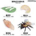 Simulation Animal Insect PVC ladybug Bee spider Model Action Figure Collection Miniature Cognition Educational Toys for Children