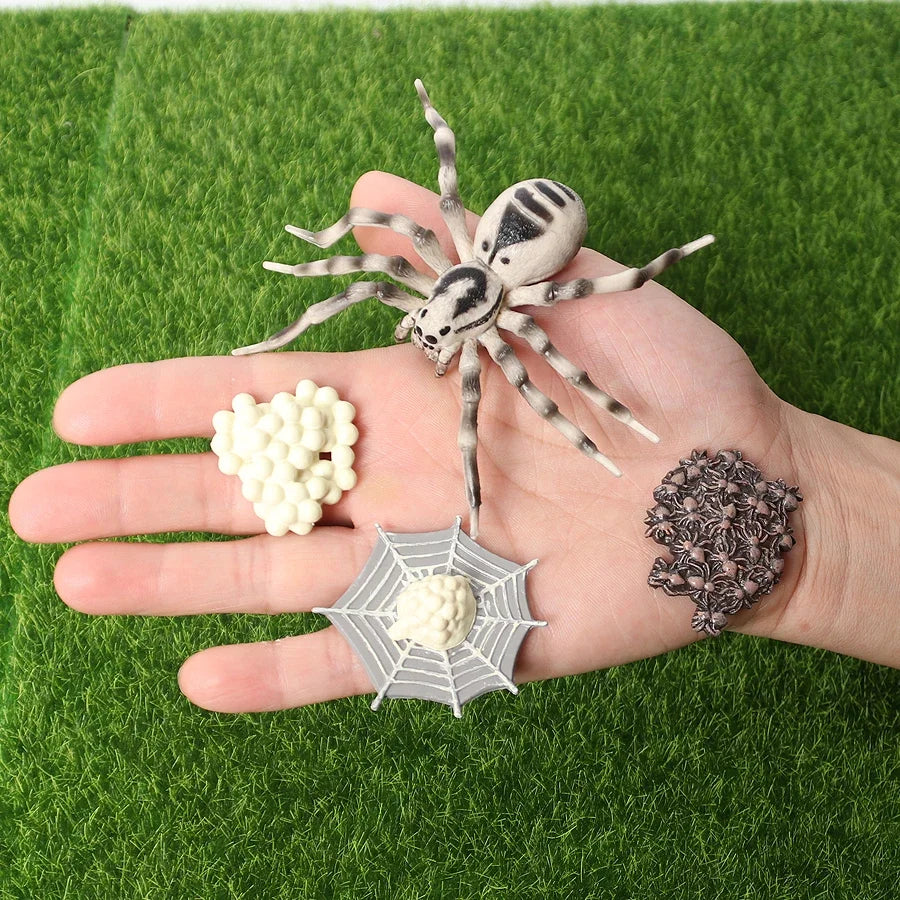 The life cycle Animals toys set Toy animals Figures Montessori Action Figure Kids Gifts Mini Figurine Plastic Insects Toys Games
