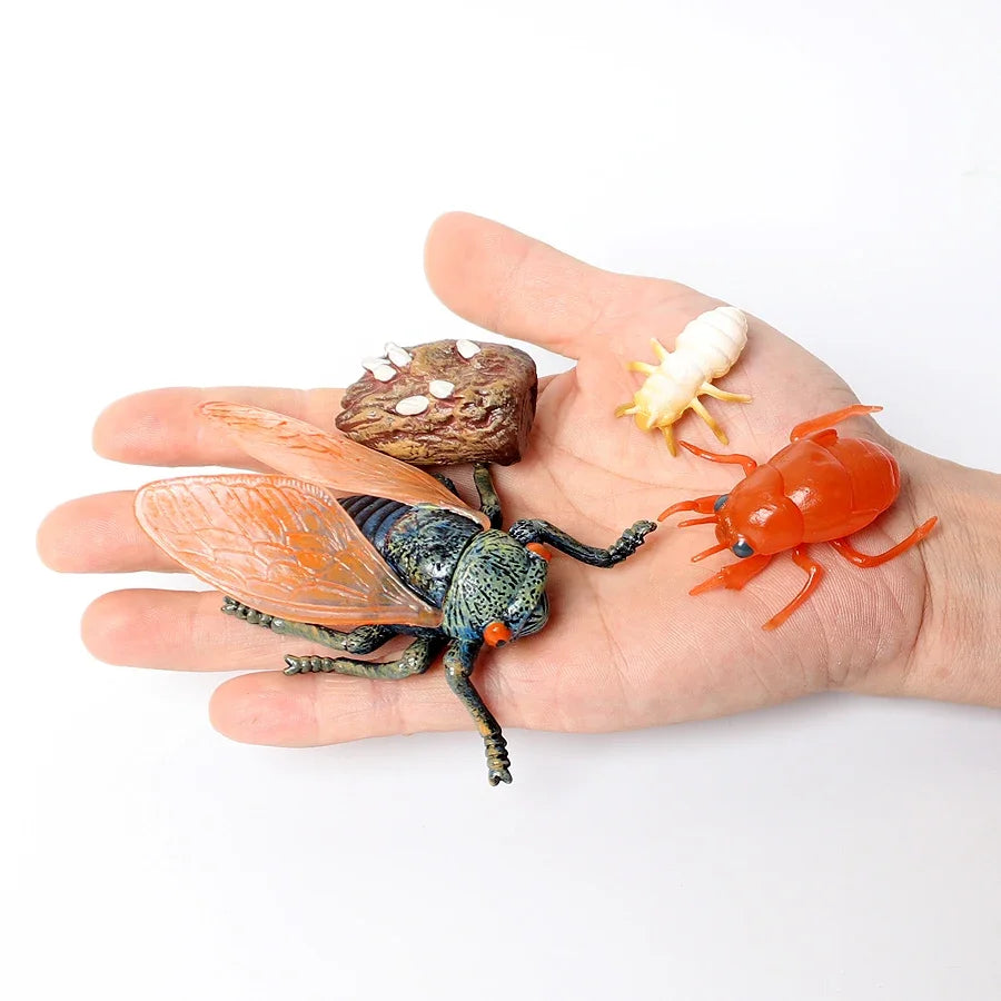 The life cycle Animals toys set Toy animals Figures Montessori Action Figure Kids Gifts Mini Figurine Plastic Insects Toys Games