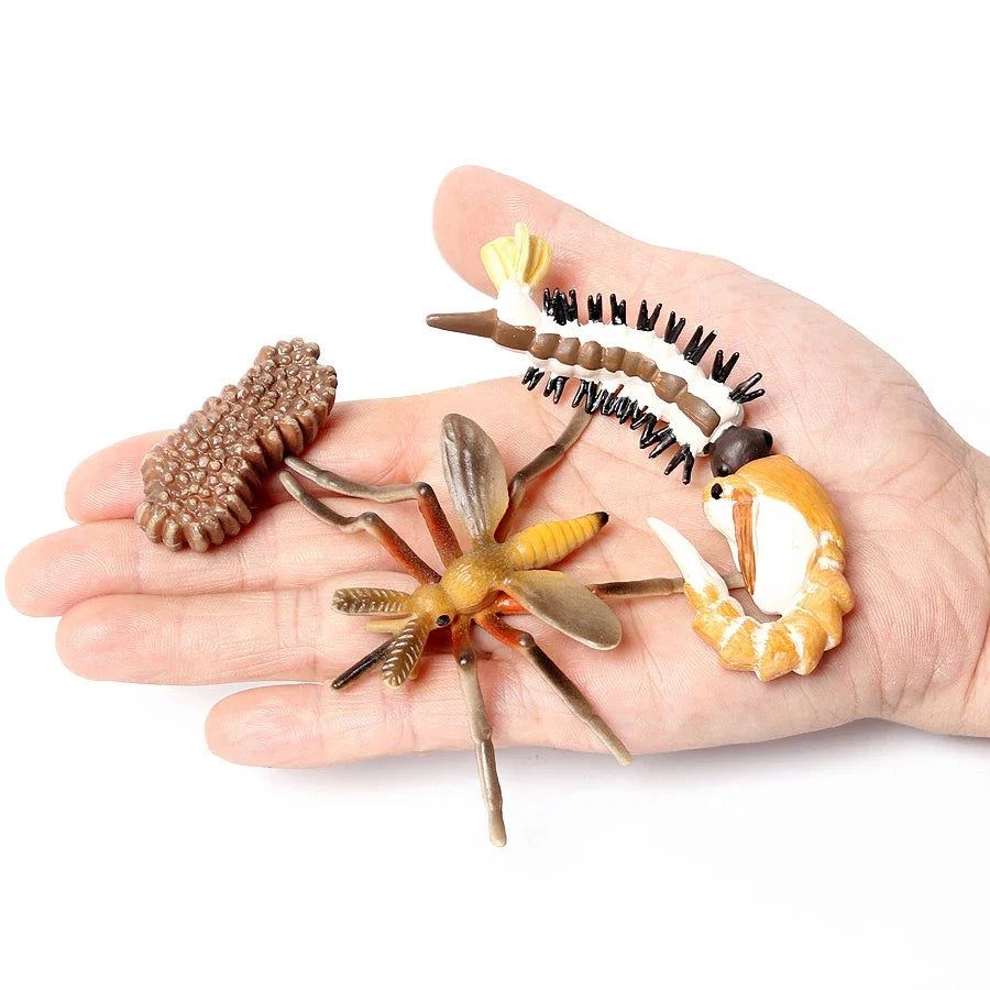 The life cycle Animals toys set Toy animals Figures Montessori Action Figure Kids Gifts Mini Figurine Plastic Insects Toys Games