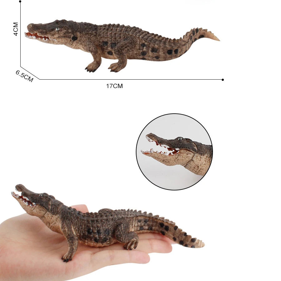 Realistic Plastic Alligator Sarcosuchus Boar Croc Crocodile Wild Animal Model Toy Figurines Party Favors Cake Toppers For Kids