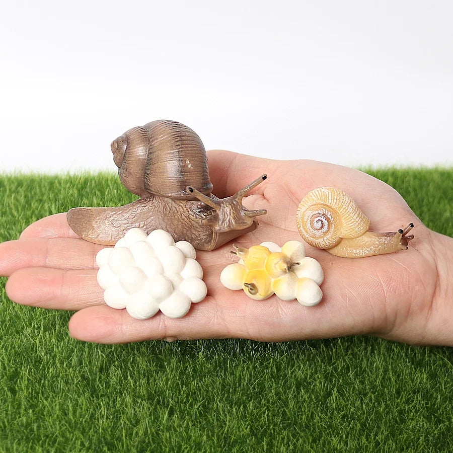 The life cycle Animals toys set Toy animals Figures Montessori Action Figure Kids Gifts Mini Figurine Plastic Insects Toys Games