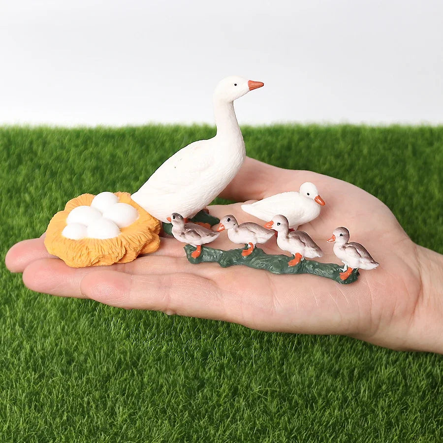 The life cycle Animals toys set Toy animals Figures Montessori Action Figure Kids Gifts Mini Figurine Plastic Insects Toys Games