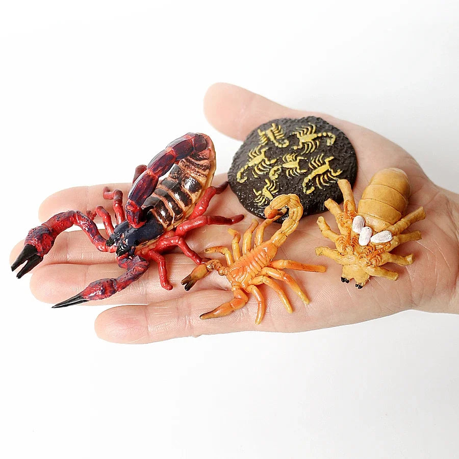 The life cycle Animals toys set Toy animals Figures Montessori Action Figure Kids Gifts Mini Figurine Plastic Insects Toys Games