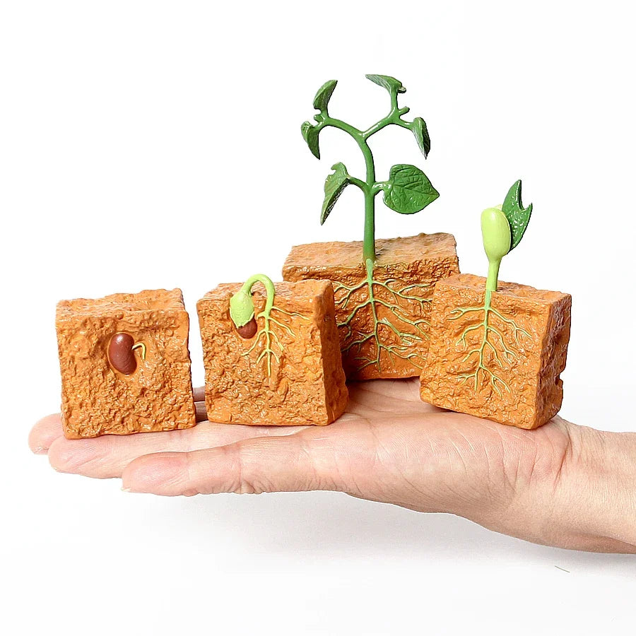The life cycle Animals toys set Toy animals Figures Montessori Action Figure Kids Gifts Mini Figurine Plastic Insects Toys Games