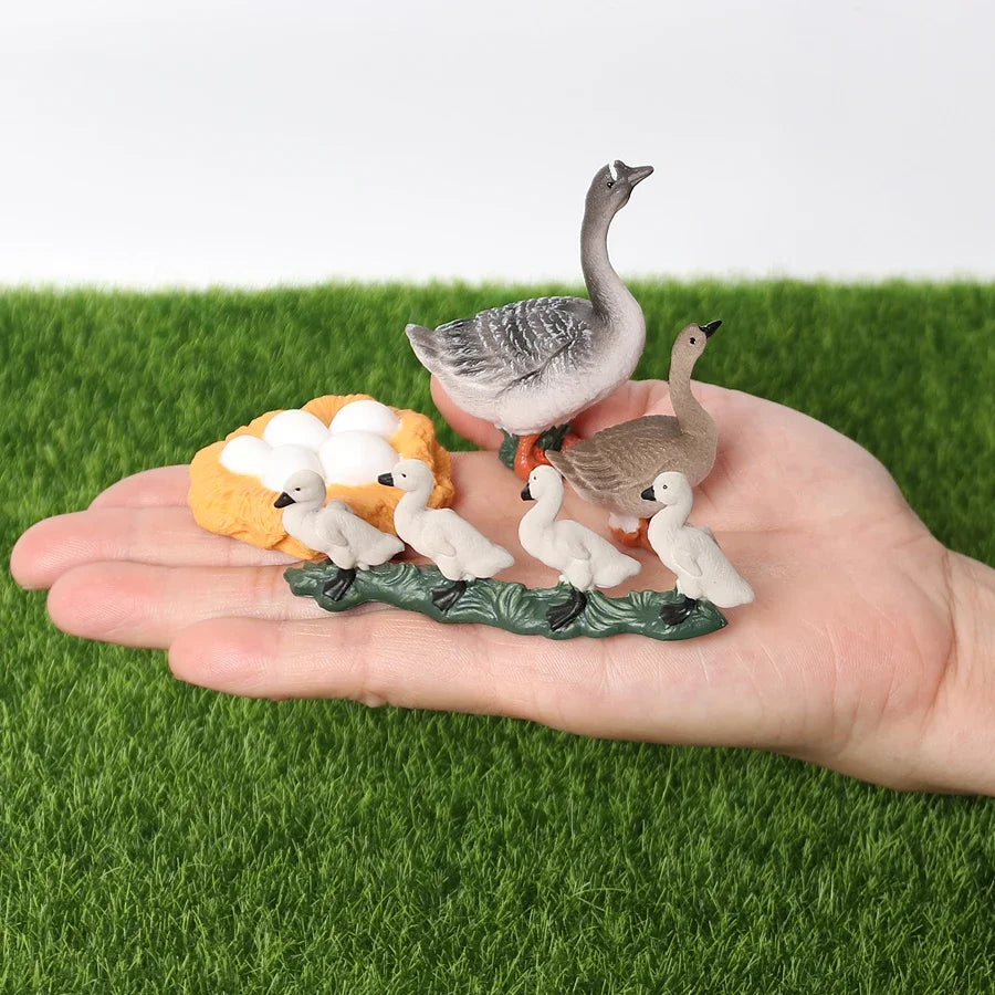 The life cycle Animals toys set Toy animals Figures Montessori Action Figure Kids Gifts Mini Figurine Plastic Insects Toys Games