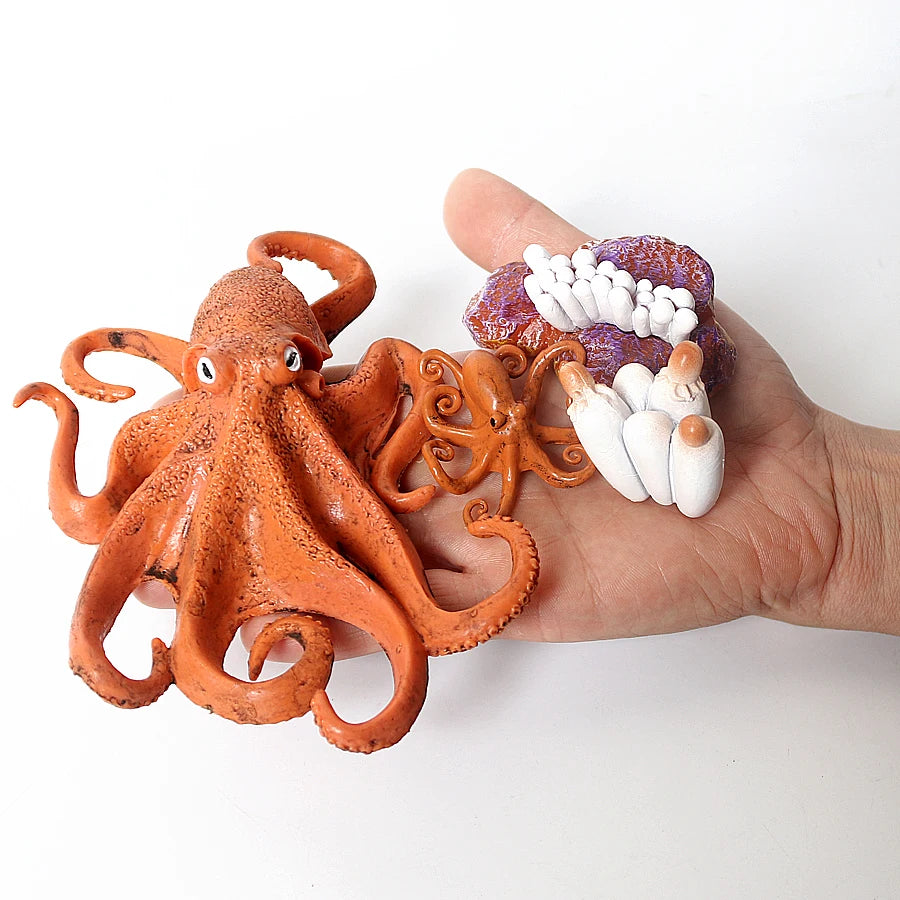 The life cycle Animals toys set Toy animals Figures Montessori Action Figure Kids Gifts Mini Figurine Plastic Insects Toys Games