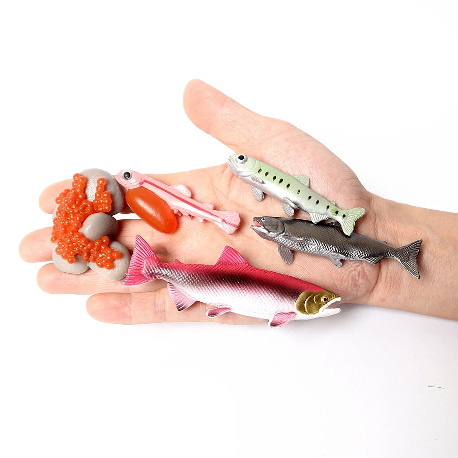 The life cycle Animals toys set Toy animals Figures Montessori Action Figure Kids Gifts Mini Figurine Plastic Insects Toys Games