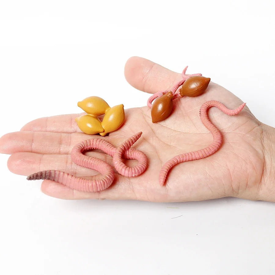 The life cycle Animals toys set Toy animals Figures Montessori Action Figure Kids Gifts Mini Figurine Plastic Insects Toys Games