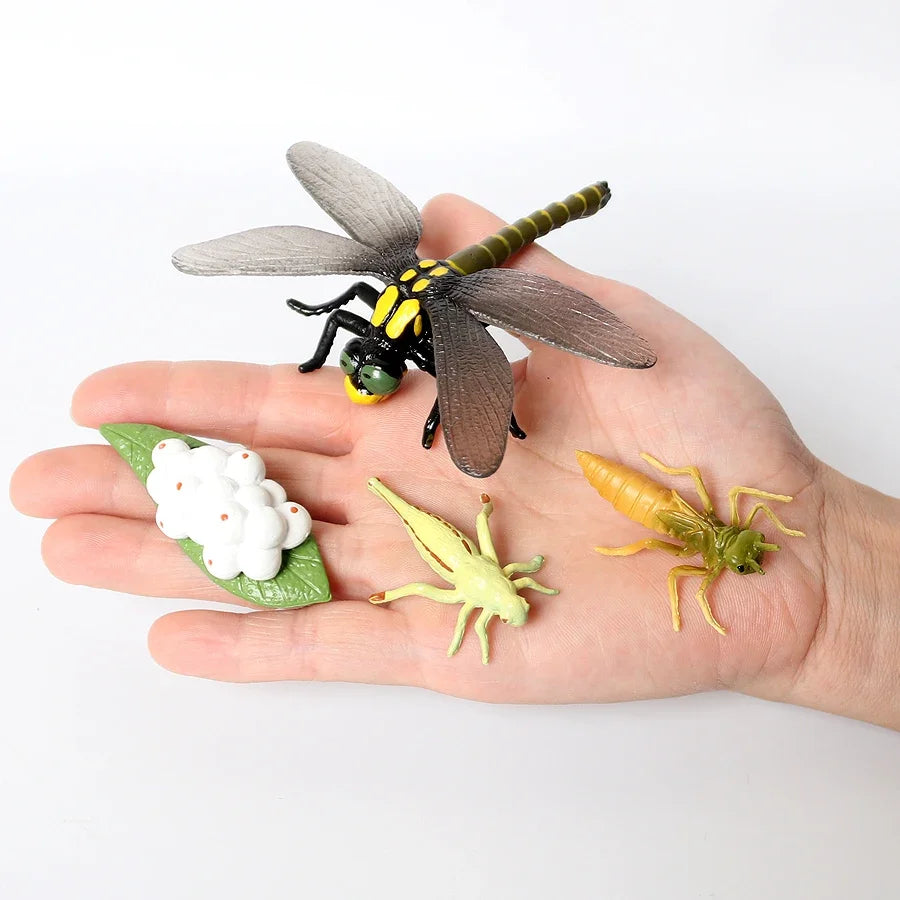 The life cycle Animals toys set Toy animals Figures Montessori Action Figure Kids Gifts Mini Figurine Plastic Insects Toys Games