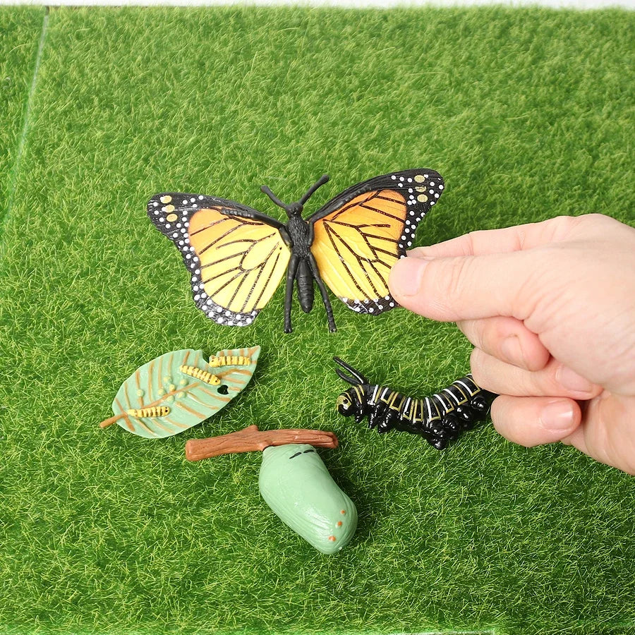 The life cycle Animals toys set Toy animals Figures Montessori Action Figure Kids Gifts Mini Figurine Plastic Insects Toys Games
