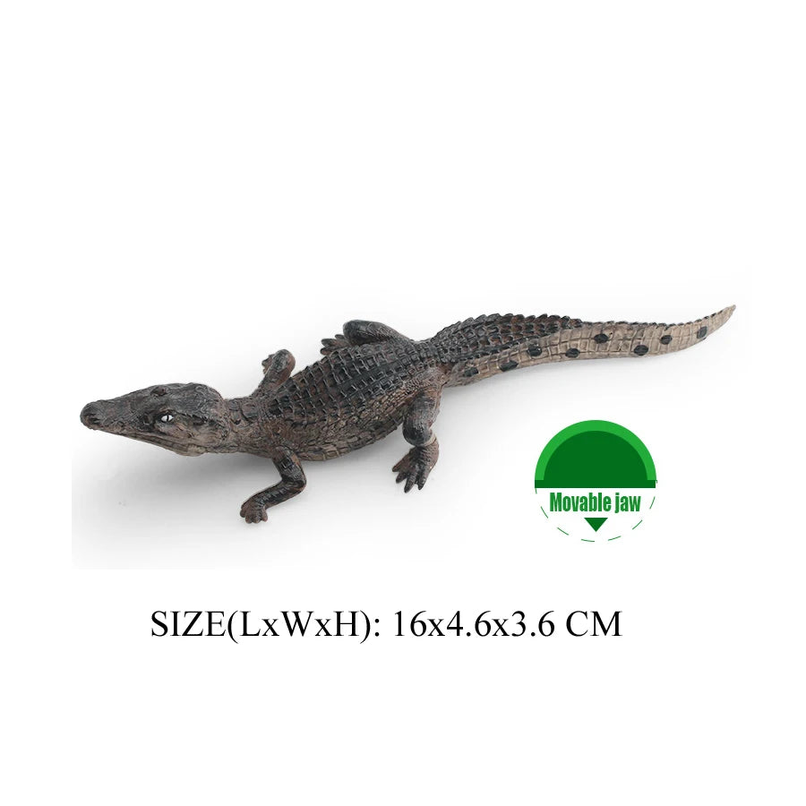 Realistic Plastic Alligator Sarcosuchus Boar Croc Crocodile Wild Animal Model Toy Figurines Party Favors Cake Toppers For Kids