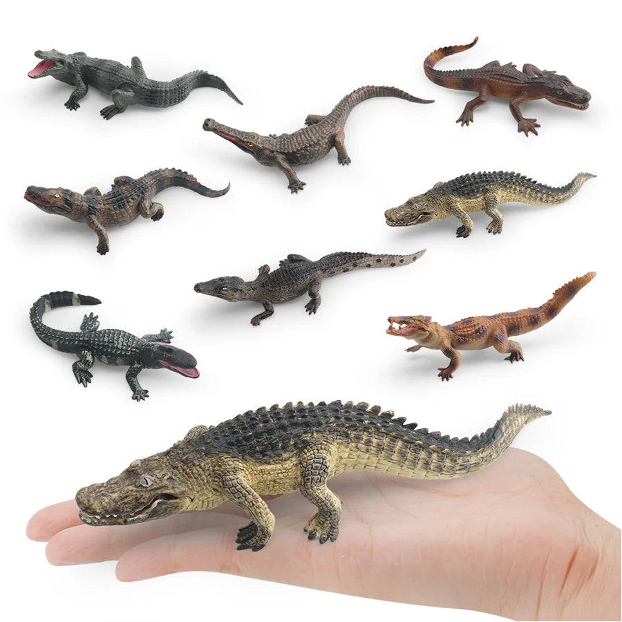 Realistic Plastic Alligator Sarcosuchus Boar Croc Crocodile Wild Animal Model Toy Figurines Party Favors Cake Toppers For Kids