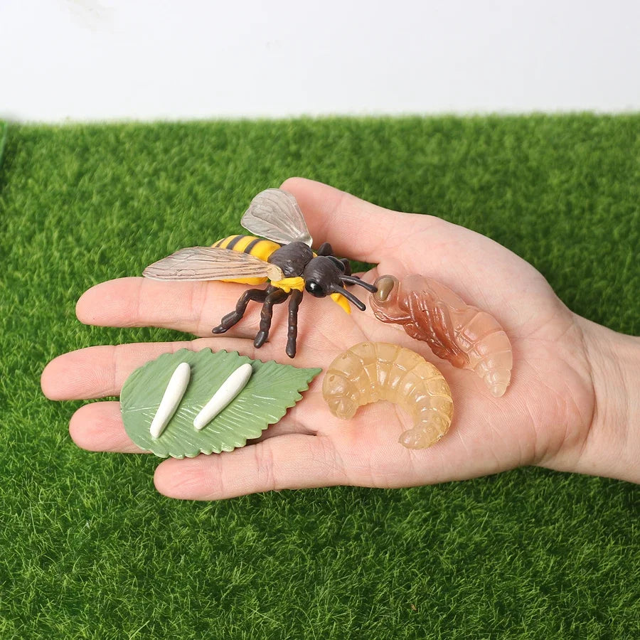 The life cycle Animals toys set Toy animals Figures Montessori Action Figure Kids Gifts Mini Figurine Plastic Insects Toys Games