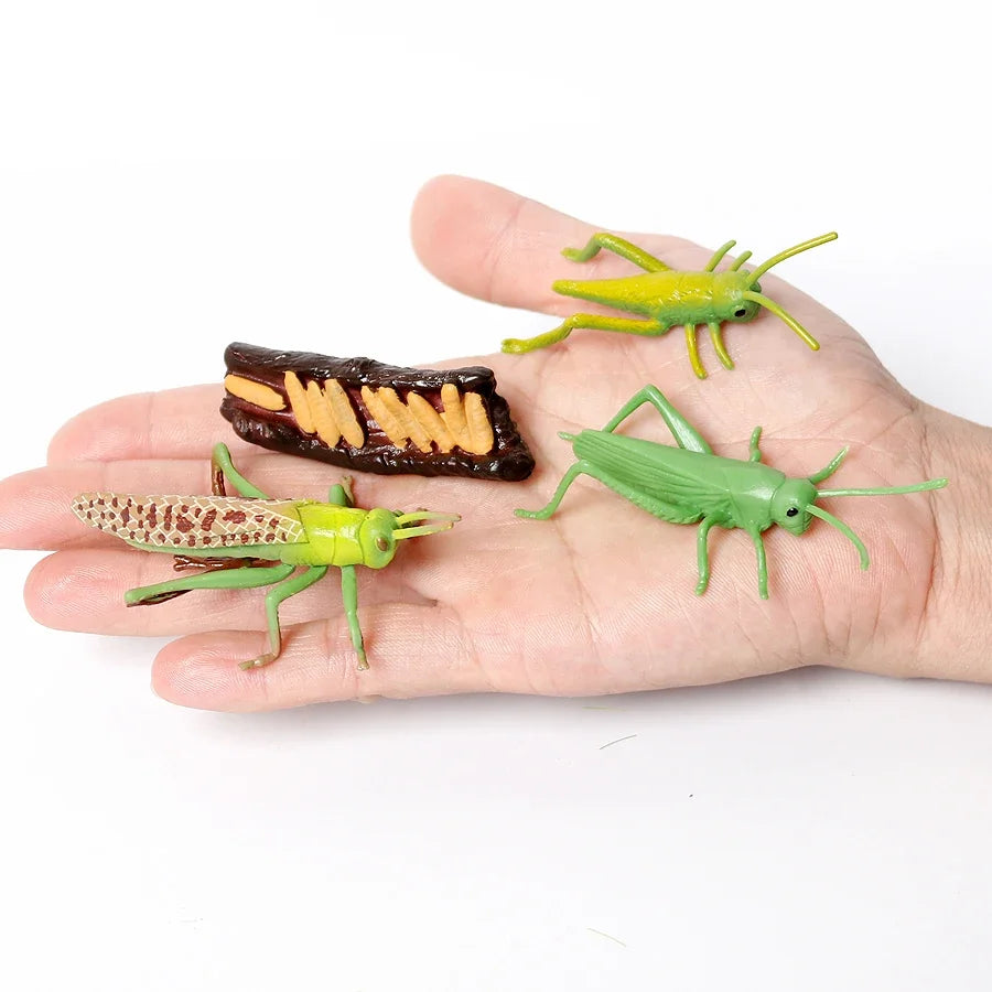The life cycle Animals toys set Toy animals Figures Montessori Action Figure Kids Gifts Mini Figurine Plastic Insects Toys Games