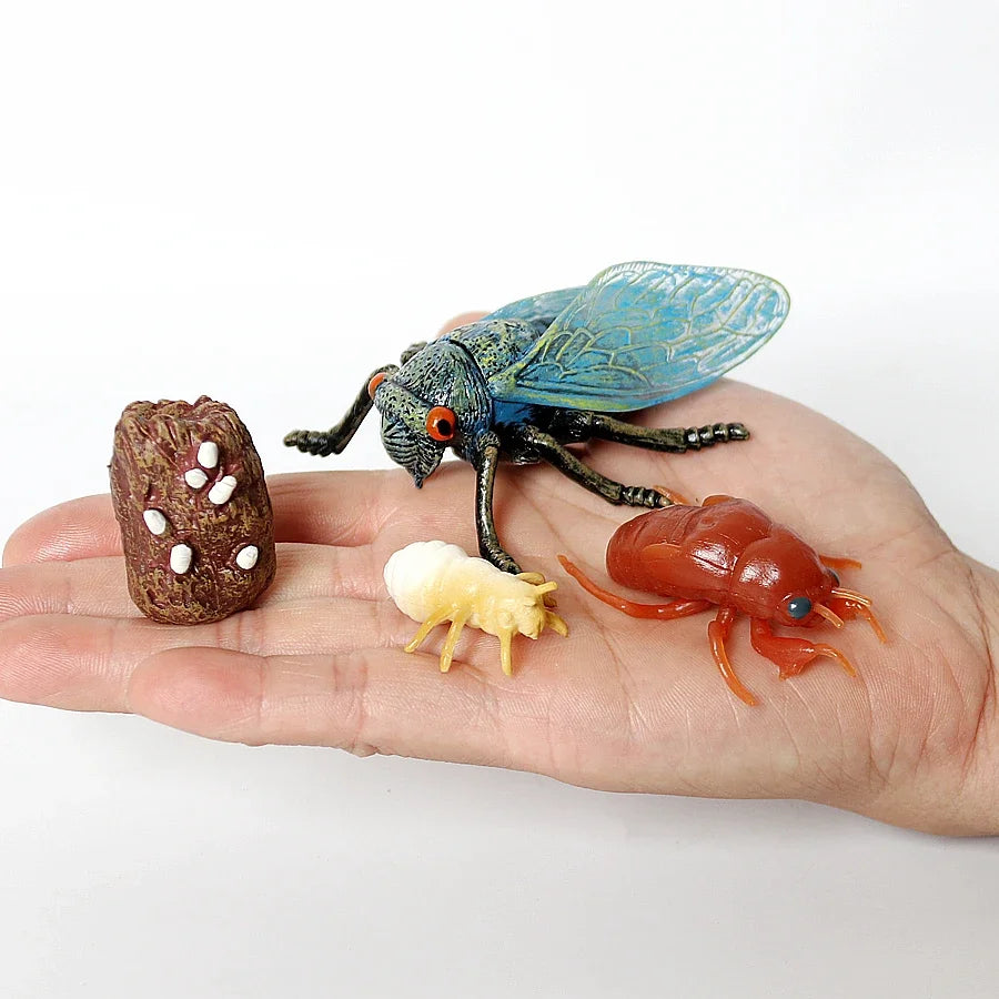 The life cycle Animals toys set Toy animals Figures Montessori Action Figure Kids Gifts Mini Figurine Plastic Insects Toys Games