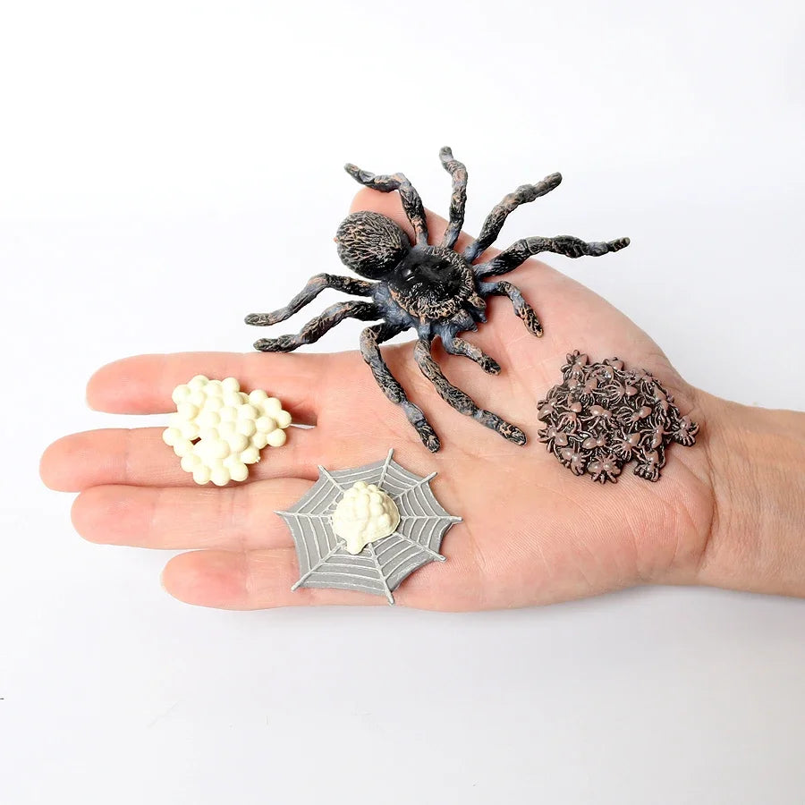 The life cycle Animals toys set Toy animals Figures Montessori Action Figure Kids Gifts Mini Figurine Plastic Insects Toys Games