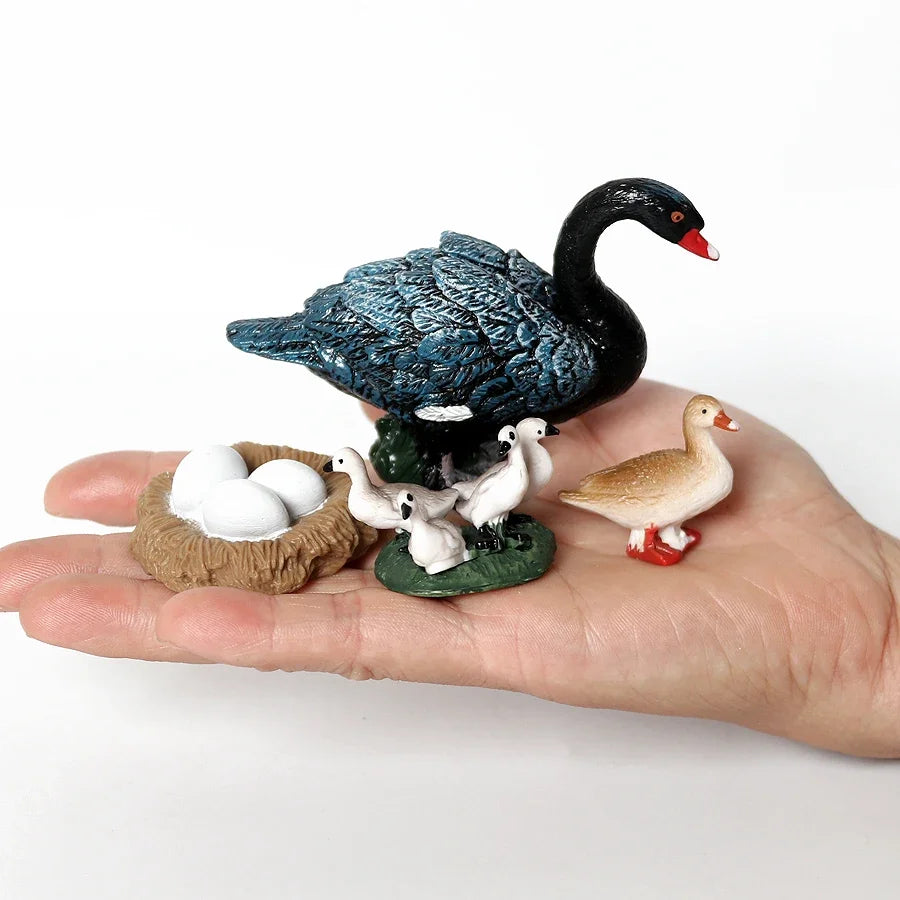 The life cycle Animals toys set Toy animals Figures Montessori Action Figure Kids Gifts Mini Figurine Plastic Insects Toys Games