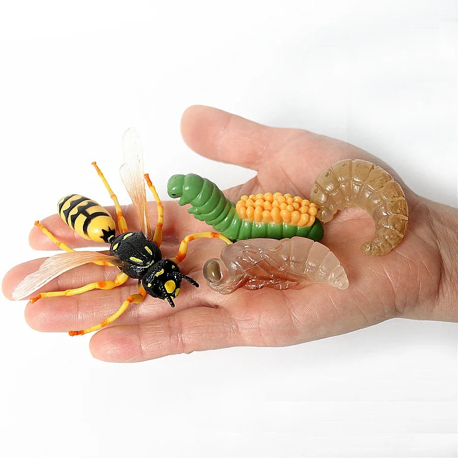 The life cycle Animals toys set Toy animals Figures Montessori Action Figure Kids Gifts Mini Figurine Plastic Insects Toys Games