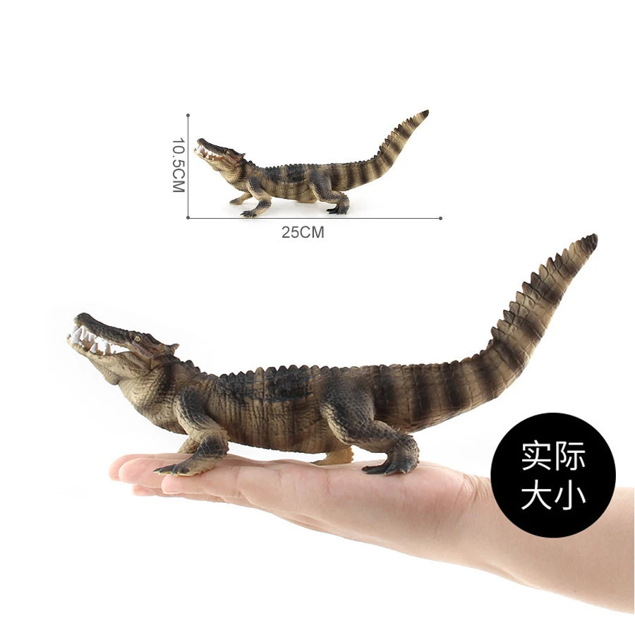 Realistic Plastic Alligator Sarcosuchus Boar Croc Crocodile Wild Animal Model Toy Figurines Party Favors Cake Toppers For Kids