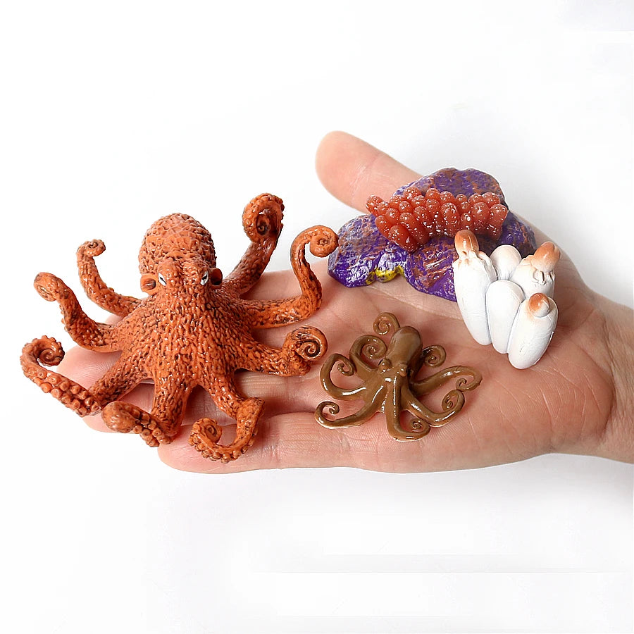 The life cycle Animals toys set Toy animals Figures Montessori Action Figure Kids Gifts Mini Figurine Plastic Insects Toys Games