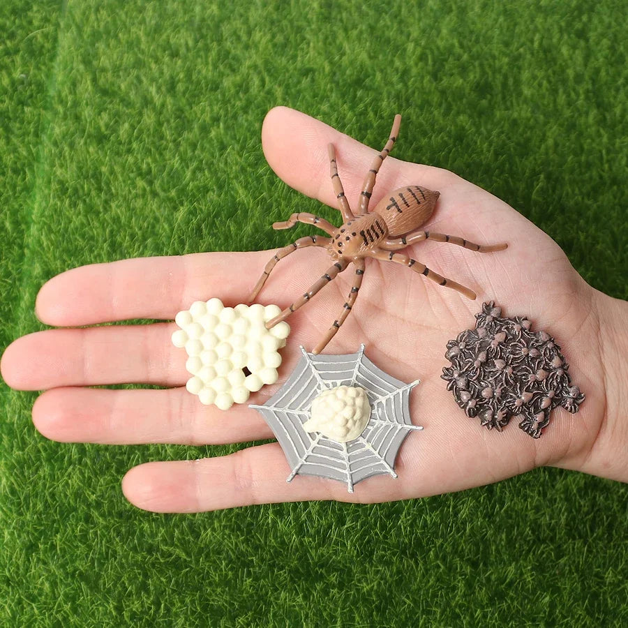 The life cycle Animals toys set Toy animals Figures Montessori Action Figure Kids Gifts Mini Figurine Plastic Insects Toys Games