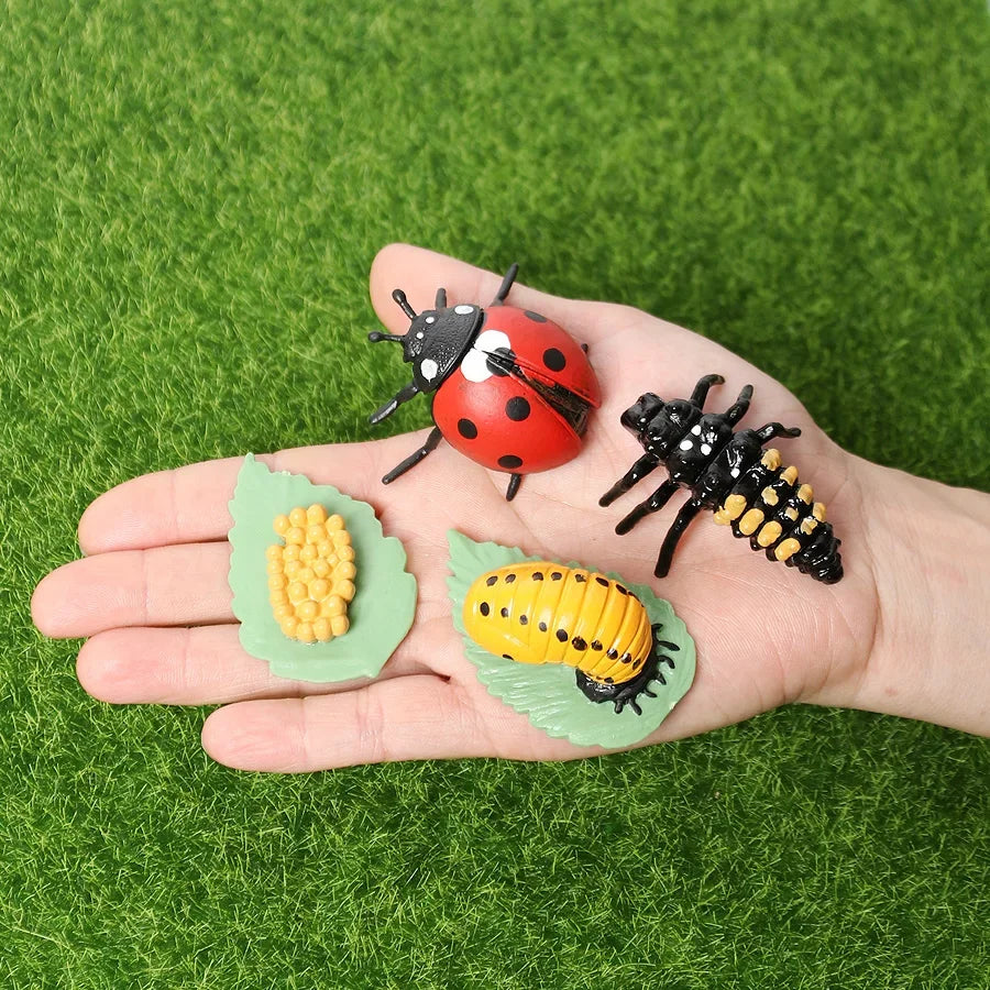 The life cycle Animals toys set Toy animals Figures Montessori Action Figure Kids Gifts Mini Figurine Plastic Insects Toys Games