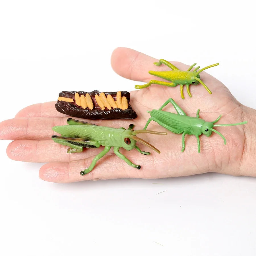 The life cycle Animals toys set Toy animals Figures Montessori Action Figure Kids Gifts Mini Figurine Plastic Insects Toys Games