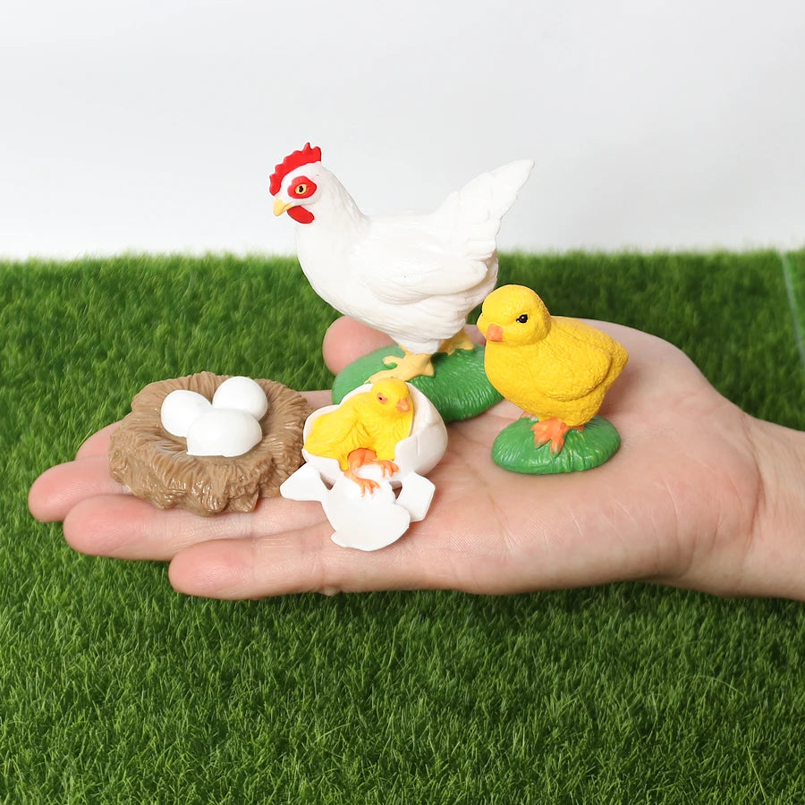 The life cycle Animals toys set Toy animals Figures Montessori Action Figure Kids Gifts Mini Figurine Plastic Insects Toys Games